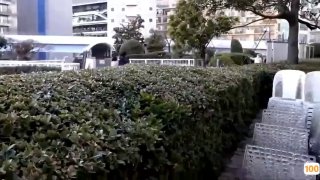 日韩无码.爱奇艺会员免费领取在线a 日本一区二区在线看_国产在线精品观看一区欧美国产精品不卡在线观看_国产亚洲一区二区手机在线观看